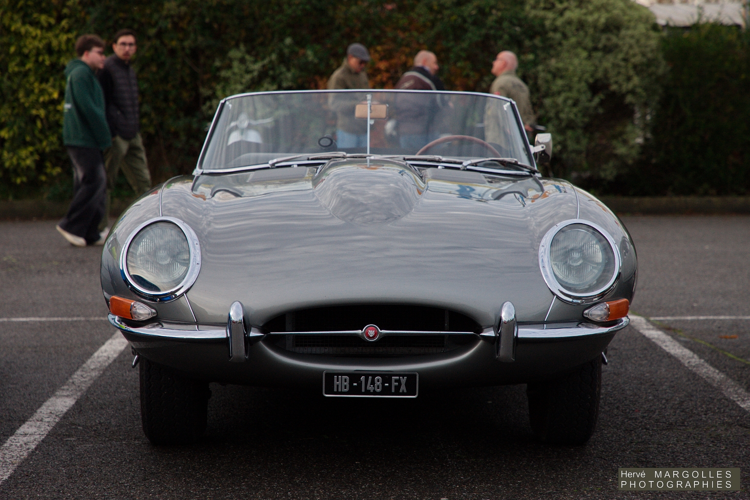 Jaguar Type E_04.jpg